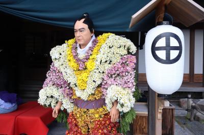 鹿児島「仙厳園」　菊まつり初日