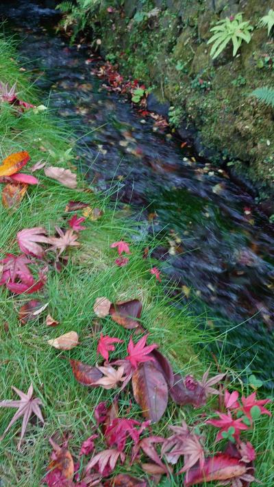 山梨忍野八海　富士山と紅葉の１Dayトリップ