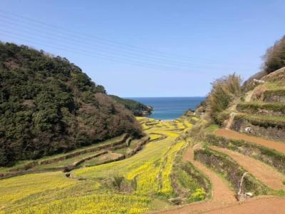 唐津・呼子・福岡の旅