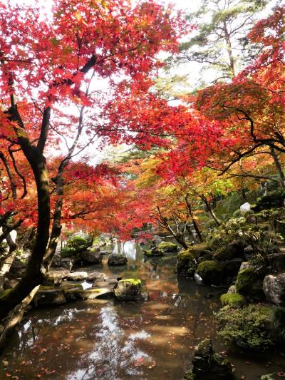 「徳明園」の紅葉_2020_色付きはじめ、紅葉進行中です（群馬県・高崎市）