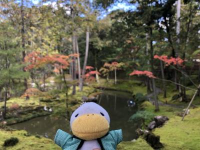 念願の京都苔寺に行ってきました