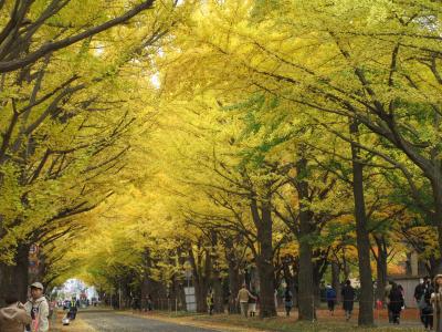 道南　紅葉と温泉巡り　№3