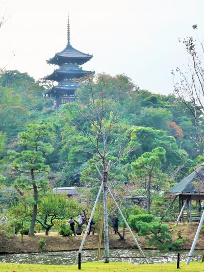 スーパーセール タイムセール 時間 lrg_11659927.jpg?updated_at= 家庭菜園