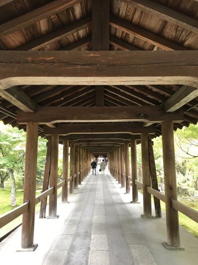 くもりのち雨のひとり旅！京都1泊2日①