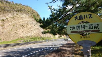 三原山登山と地層断面を見に！