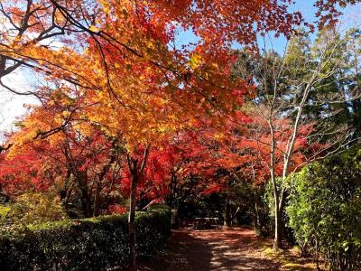 大分　湯布院　金鱗湖周辺の紅葉