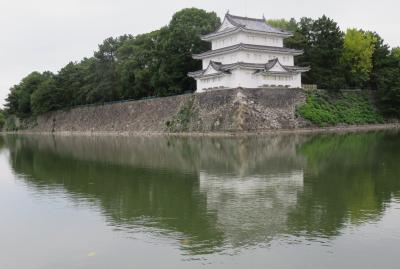 2020秋、名古屋城と名城公園(3/4)：名古屋城(2)：お堀、コブ白鳥、天守、キンクロハジロ