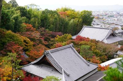 20201112-2 京都 秋の一乗寺散歩其の二、圓光寺