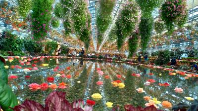 2020年10月　初孫颯人君との初旅行！４世代でナガシマリゾートへ！　２日目