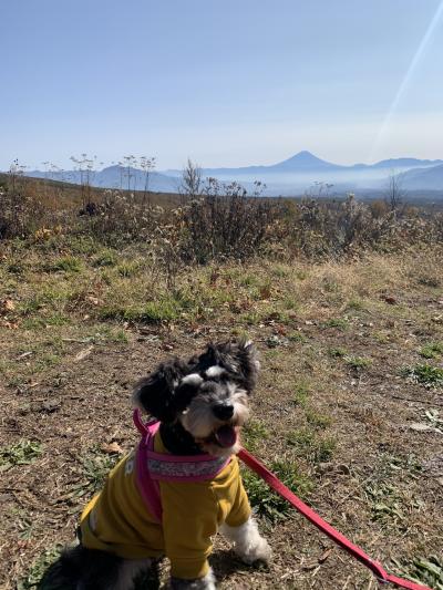 詩との旅10泊目☆ゆとりろ蓼科withDOGSへ