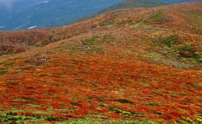 東北山岳紅葉　②栗駒山「神の絨毯」