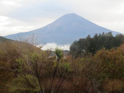 富士山が見たい！