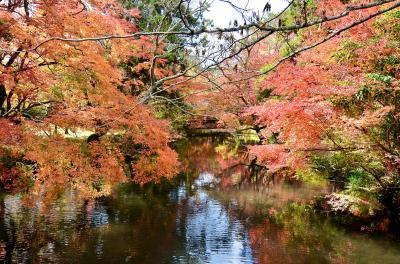 「由布院 玉の湯」で過ごす！GoToトラベル！紅葉と美食のゆる～り由布院 ① 出発～チェックイン編