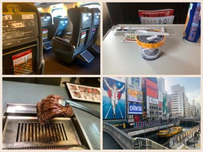 1年振りに西へ！大阪2泊　①　ひかり号グリーン車～鶴橋で焼肉ランチ～ミナミ散策