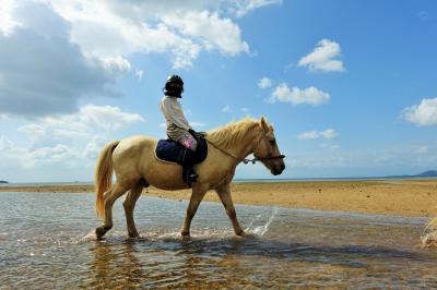 石垣島女子ひとり旅④全日空ホテル石垣島のビーチと海ん馬を楽しむ。