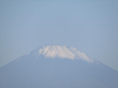 鋼管団地から見る富士山