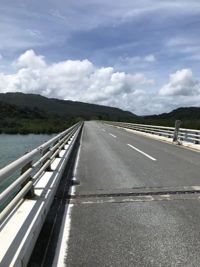 八重山諸島ぶらぶら独り旅②（浦内川から徒歩で白浜港、そして船浮へ～前編）