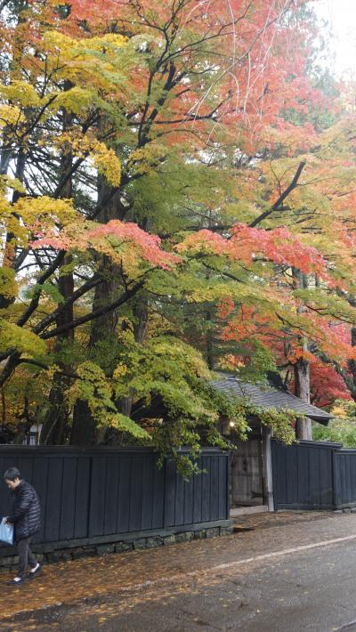 ２０２０年１１月GO TOを使って秋の秋田から岩手へ一人旅　２．紅葉眩しい秋の角館武家屋敷を歩く