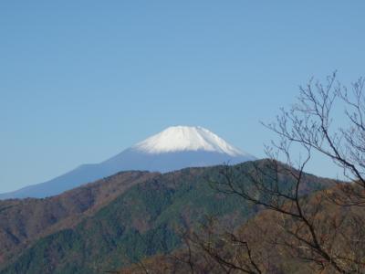 2020 神奈川県 父子２人旅～ 丹沢山 ～ 登山編 ～ どこまでも続く尾根道にヘトヘト、でも富士山素晴らしかった ～