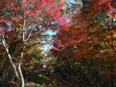 紅葉の恵那峡に