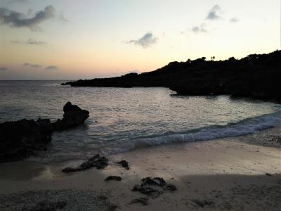 沖縄2020年秋GoTo旅#2 宮古島編 インギャーコーラルヴィレッジ サンゴのビーチで今年初泳ぎ