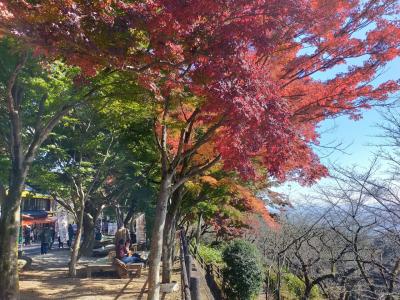 ちょっと栃木、太平山へ　紅葉少し早かったです