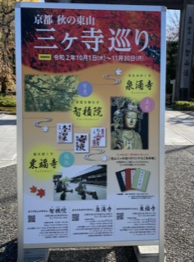 秋の3社巡り!徒歩3時間の紅葉!