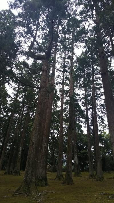 二年ぶり？！コロナのおかげで叶った家族旅行 ～鹿児島編⑥～