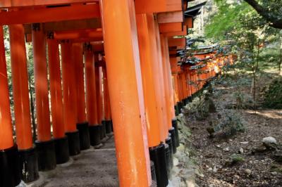 秋の京都・奈良散策③【伏見稲荷・寺田屋】