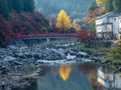 香嵐渓からの2020年紅葉狩り