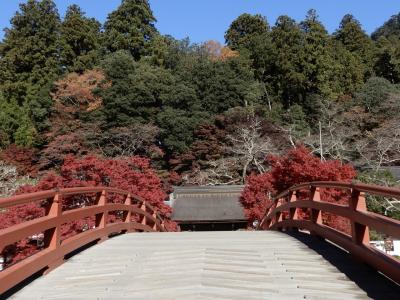 マイクロツーリズム奈良　女人高野『室生寺』 足を延ばしてパワースポット龍穴