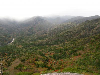 ３年ぶり２度目の屋久島　やはり屋久島は特別でした　３日目　白谷雲水峡　（2020年秋）