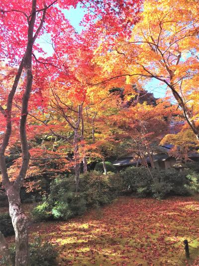 『錦秋の京都・”紅葉狩りと博物館☆”＜京都・紅葉狩りPart2＞”ちょっとだけ食べ歩き♪”（京都食べ歩き紀行・その１０）