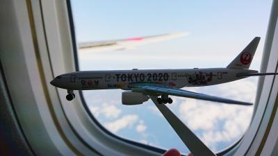 息子の初飛行機はGOTOキャンペーンで函館へ【その1】