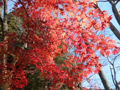 長谷寺の勤行・室生寺　　2020年12月 