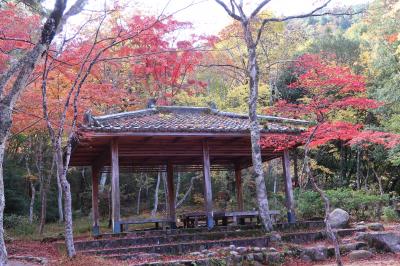 有馬温泉瑞宝寺公園の紅葉