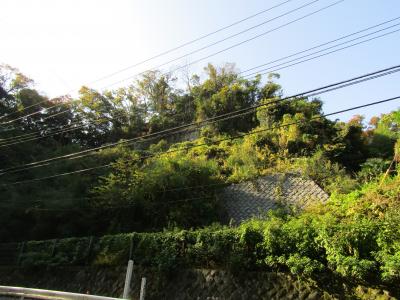 巨福呂坂切通の秋風景－2020年秋