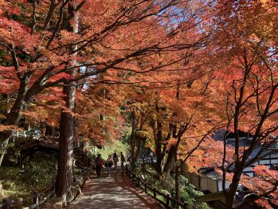 下呂温泉～合掌村・温泉寺　結婚記念日のプレゼント_No.1