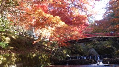 瀬戸市　雲興寺＆岩屋洞