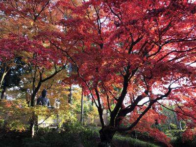 Go To 京都 13 永観堂 金戒光明寺 真如堂 栄摂院