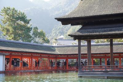 30年ぶりの広島。宮島は紅葉がすばらしかった。