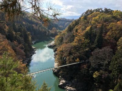 日本一の星空を見に昼神温泉へ