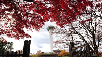 息子の初飛行機はGOTOキャンペーンで函館へ【その2】