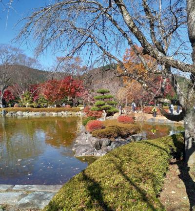 三年ぶりの桜山公園