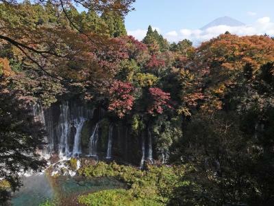 紅葉が見頃の田貫湖から白糸の滝へ 2020.11.15