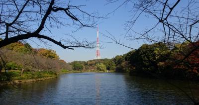 横浜の紅葉　２０２０　三ッ池公園