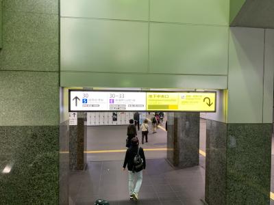 墓前へ術後回復の報告と紅葉を訪ねて!