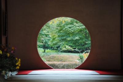 県内旅行で北鎌倉から観音崎、浦賀、城ヶ島へと三浦半島をぐるり。②北鎌倉 明月院へ。
