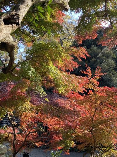 紅葉の深大寺で疫病退散祈願