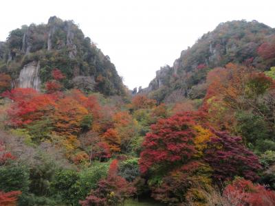 耶馬渓の紅葉と宇佐観光